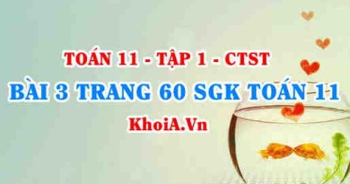 Bài 3 trang 60 SGK Toán 11 Tập 1 Chân trời sáng tạo